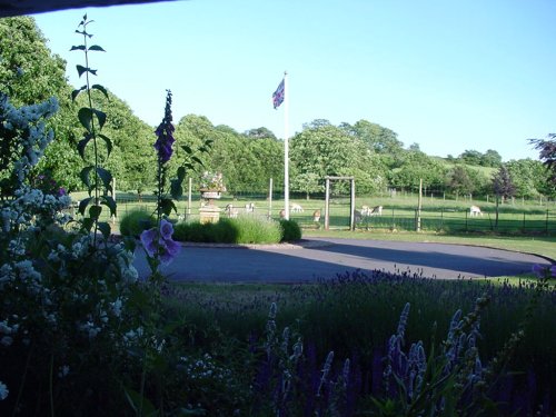 The Deer Park on the grounds of Hunstrete House Hotel, Pensford, Somerset