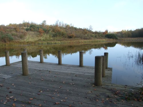 New Lount Nature Reserve, Leicestershire