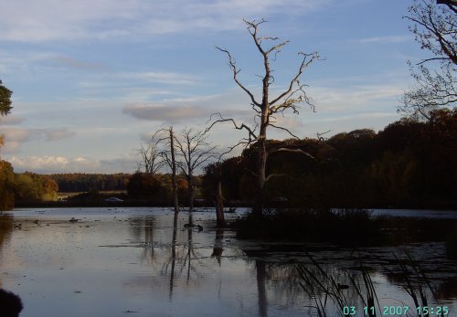 The View, Clumber Country Park, Worksop, Nottinghamshire