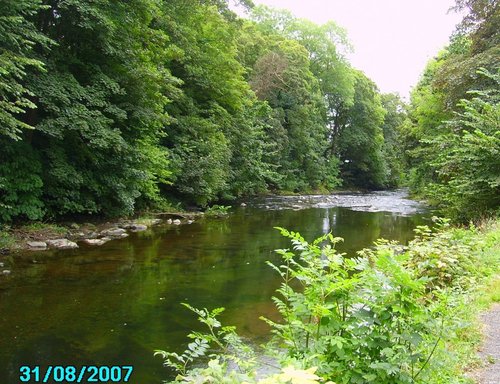 River, Tavistock, Devon