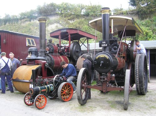 Three traction engines at Amberley steam day