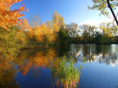 Thatcham Angling Lakes, Berkshire