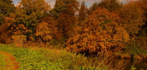 By the river in Autumn, Kingsbury Water Park, Warwickshire