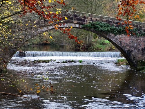 Bridge in Ilam Park, Derbyshire