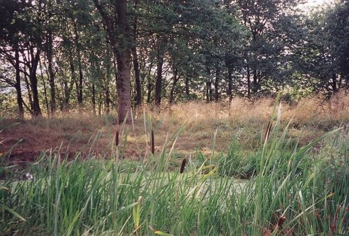 The Dew Pond