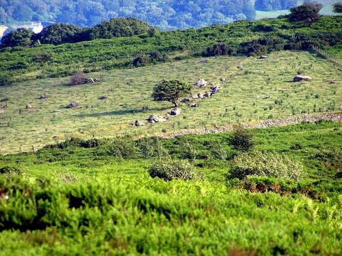 Dartmoor Rocks, Devon