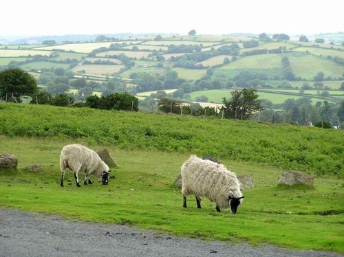 Images of Dartmoor National Park, Devon