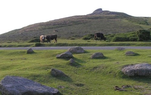 Dartmoor National Park, Devon