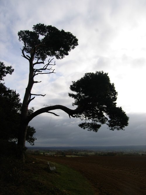 At Faringdon Folly