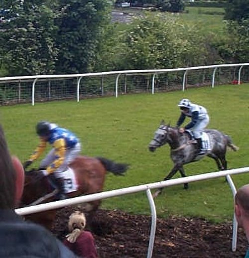 Cartmell Horse Racing