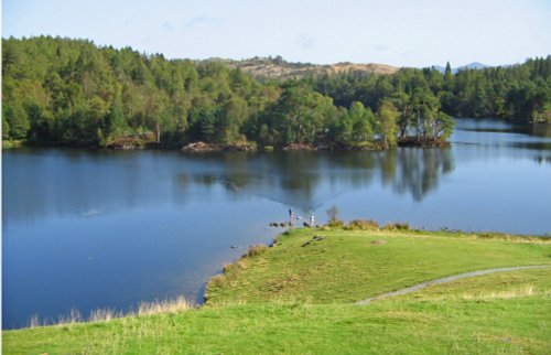 Tarn Hows, Coniston, Cumbria