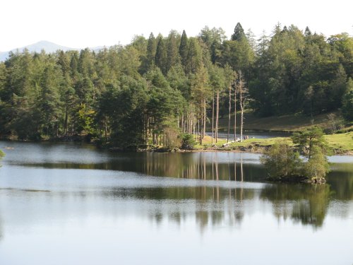 Tarn Hows, Coniston, Cumbria