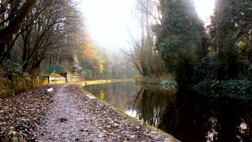 The Canal, Mossley