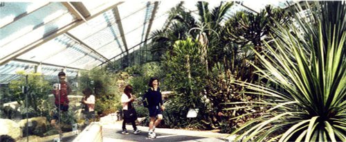 Princess of Wales Conservatory