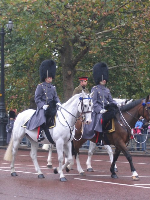 Horse Guard