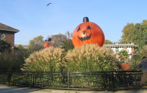 Halloween in Zoo