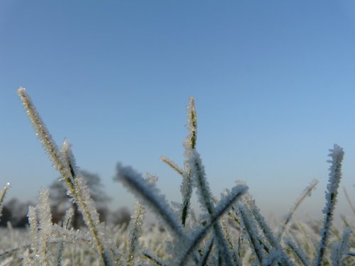 Winter in The Park