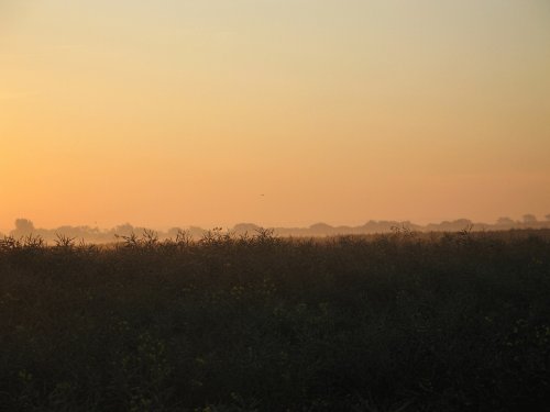 Levels East of Rye, 5am