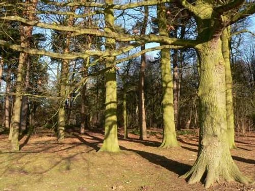 Coombe Abbey Country Park, Binley, Warwickshire