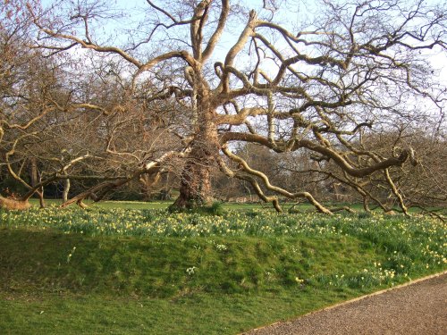 Garden at Blickling Hall