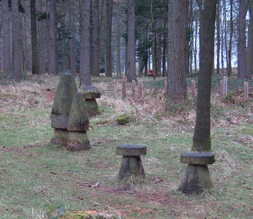 Nature Trail, Derwent Reservoir, Castleton, Derbyshire