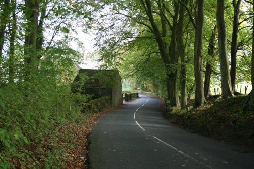 Newton, in the Forest of Bowland.