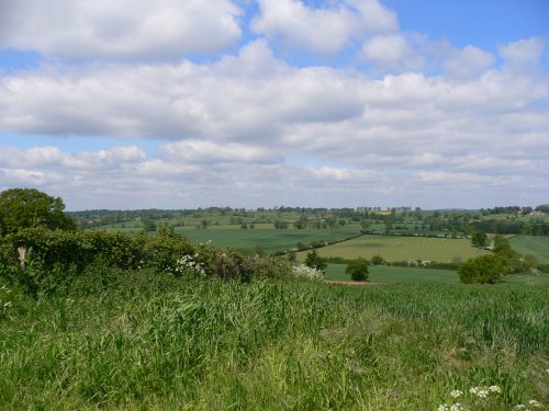 View towards Wing from Glaston, May 2006