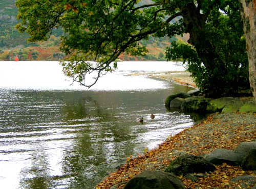 Ullswater nr Glencoyne Bay, Cumbria