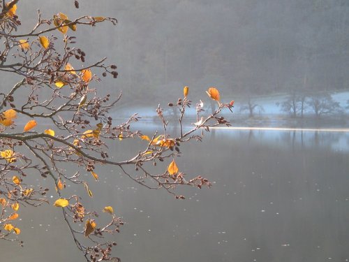 Grasmere, Cumbria on a cold November afternoon.