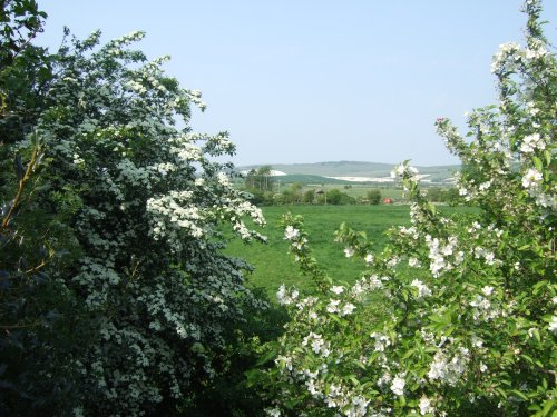 View from the garden Monks House, Lewes, East Sussex