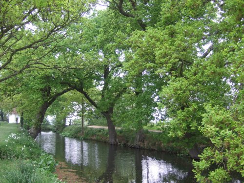 The gardens at Sissinghurst