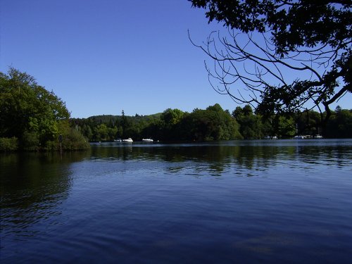 West Bank of Windermere opposite Bell Isle