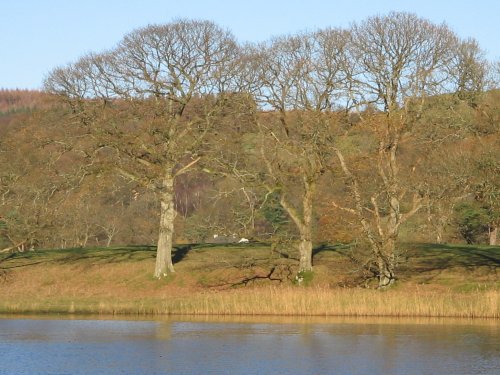 Late Autumn afternoon at Esthwaite Water, Near Sawery, Cumbria,