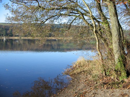 Late Autumn afternoon at Esthwaite Water, Near Sawery, Cumbria.