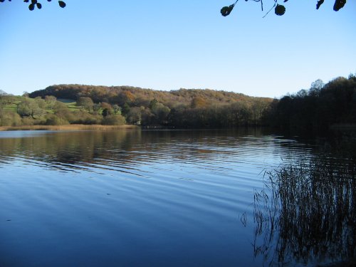 Late Autumn Afternoon at Esthwaite Water, Near Sawery. Cumbria.