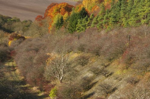 Weedley Near South Cave, East Riding of Yorkshire