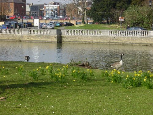 Bedford riverbank