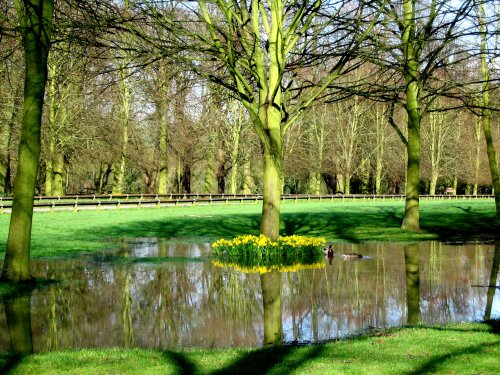 Coombe Abbey, Binley, Warwickshire