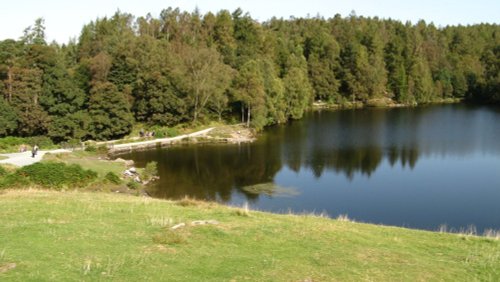 Tarn Hows, Cumbria.