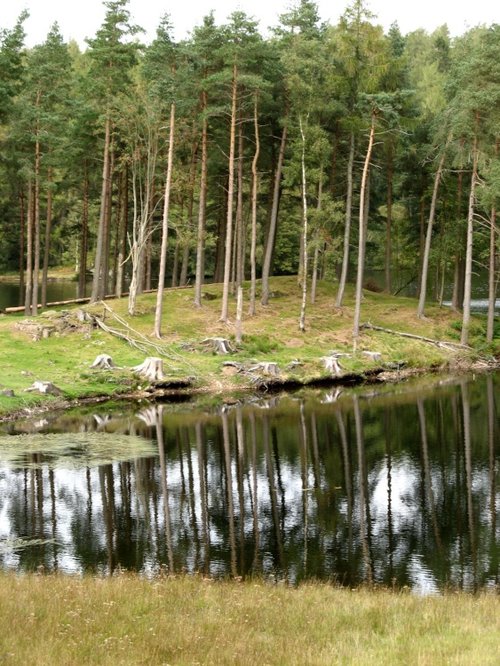 Tarn Hows, Cumbria. September 2007.