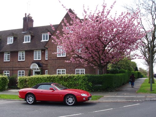 Spring in London