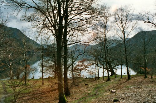 Ullswater Shore Nr Glencoyne Bay.