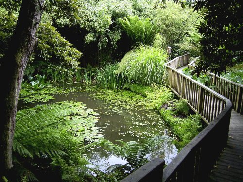 Lost Gardens of Heligan,Cornwall.