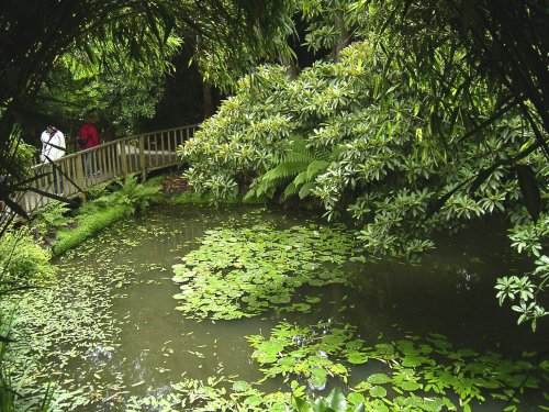 Lost Gardens of Heligan, Cornwall.