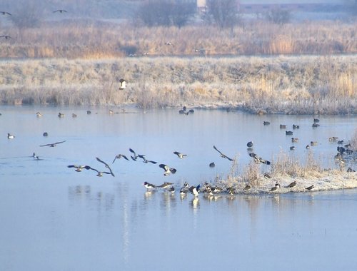 The wetlands, North Cave, East Riding of Yorkshire