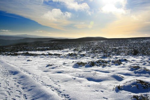 Shropshire Hills from The Long Mynd, Church Stretton, Shropshire