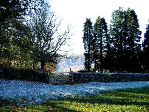 Frosty Morning near Windermere.