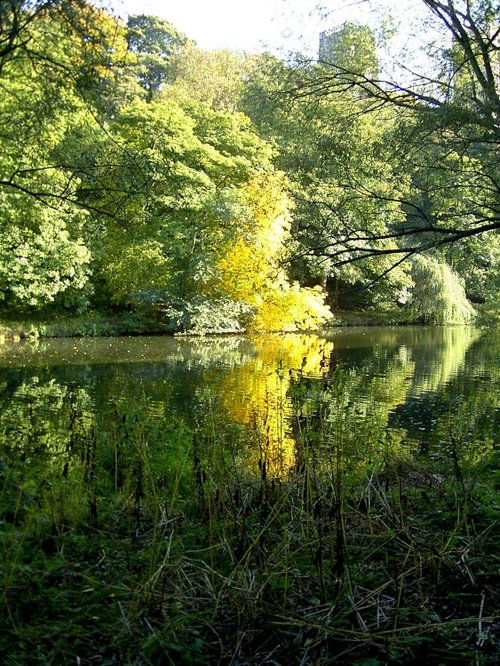 River Wear at Durham City.