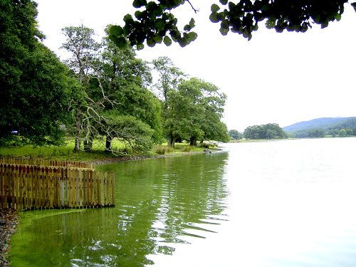 Esthwaite Water, near Hawkshead. Cumbria.