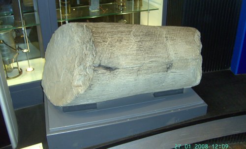 Plant Fossil, National Coal Mining Museum, Wakefield, West Yorkshire